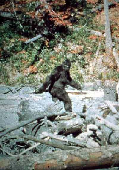 bigfoot proof