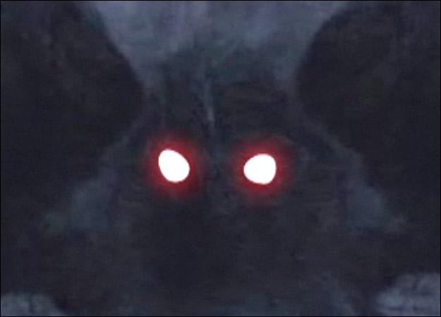 Top (?) 10 Explanations For Mothman
