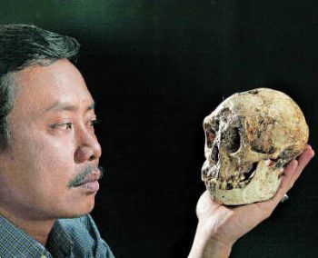 Homo Florensiensis: Small Humans Or A Distinct Species