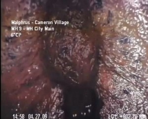 Gross Video From North Carolina Sewer Shows Slimy Mutant Sacs