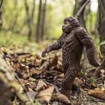 Bigfoot