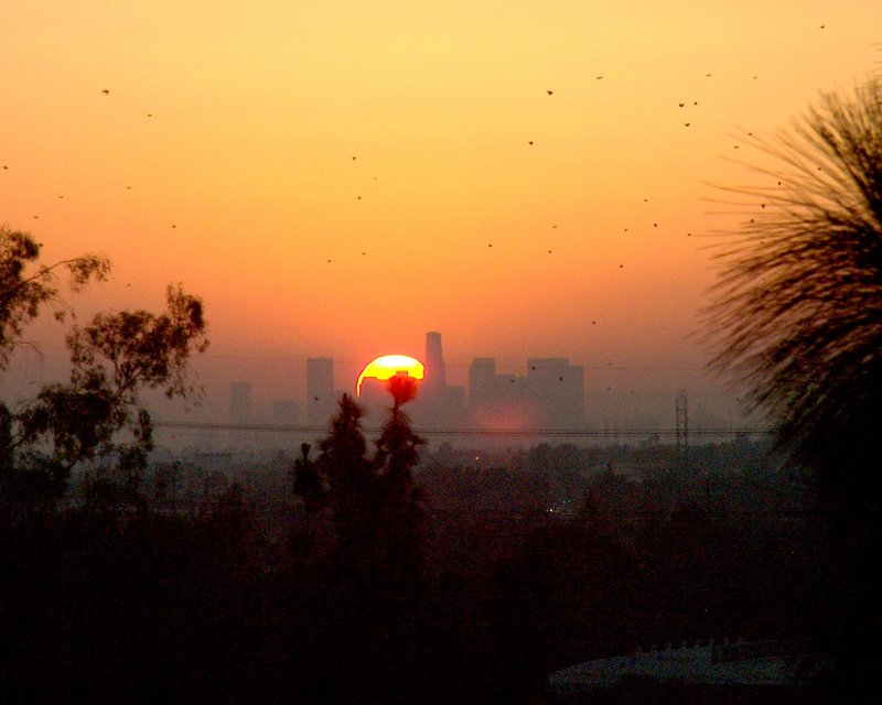 As California burns, I still fear Zombies.