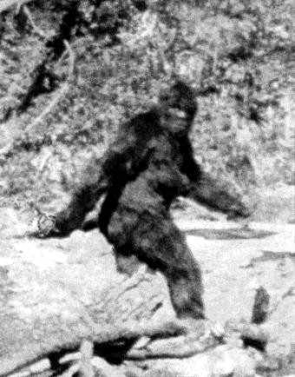 sasquatch-bigfoot sasquatch-bigfoot
