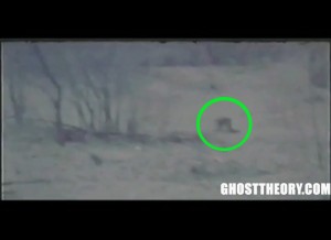 weird moving entity in the field