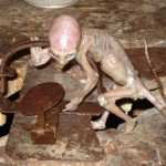 Alien creature? real or hoax?