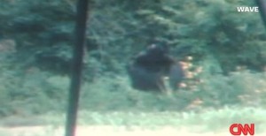 BigFoot? Bear? or trash bag?