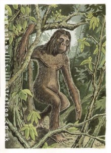 Orang Pendek. illustration Ant Wallis