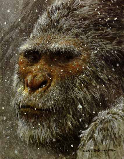 The Russian Connection: Scientists NOT 95% certain on the Yeti
