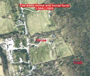 horsefarm