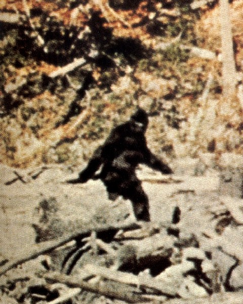 Kitsap, Washington 911 Recording: Bigfoot Outside