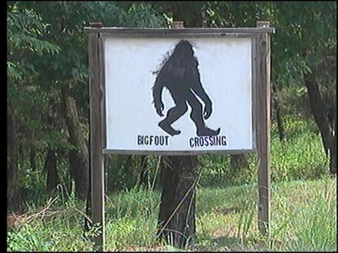 News Segment On Oklahoma Bigfoot