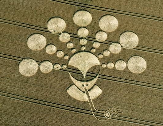 Pipe Smoking Alien Crop Circle