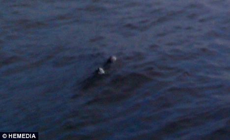 New Loch Ness Monster Sighting: Photos