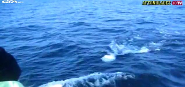 Video: USO Probe Filmed Running Sailboat Off