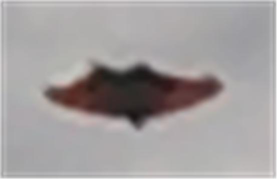 Photos: Mothman Sighting Over Chicago?