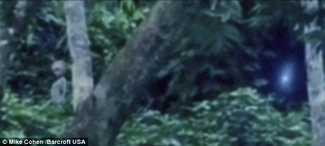 ‘Alien’ Filmed In Brazil Rainforest?