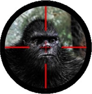 BFRO Armed With AK-47 Shoots at Bigfoot?