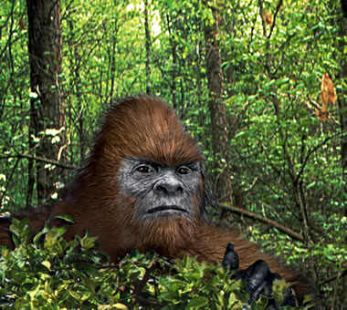 Have They Finally Found Bigfoot?