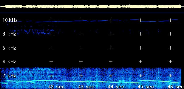 The Mysterious “Backward Music Station”