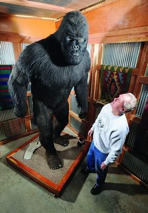 Arkansas Bigfoot: Norfork Man Talks About Encounter