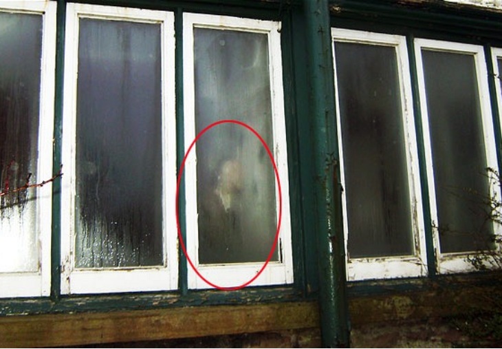 Boo or BS: Is This A Real Ghost?