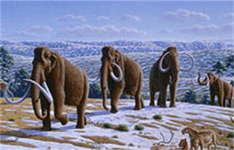 Mammoth Hoax Verified