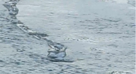 Video: Is This The Iceland Worm Monster ?