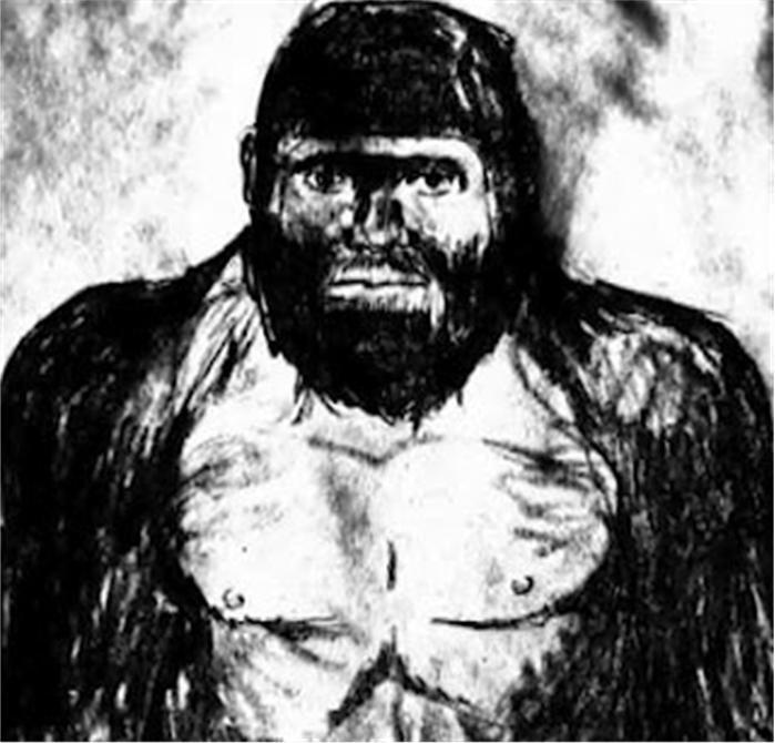 Friday Audio: Interview With Bigfoot Witness