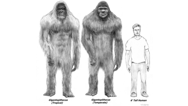 Dr. Melba Ketchum Discusses ‘Bigfoot DNA’.