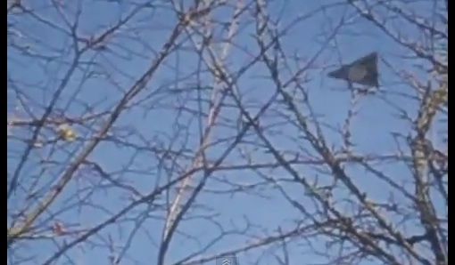 Another ‘Dudley Dorito’ UFO Video?
