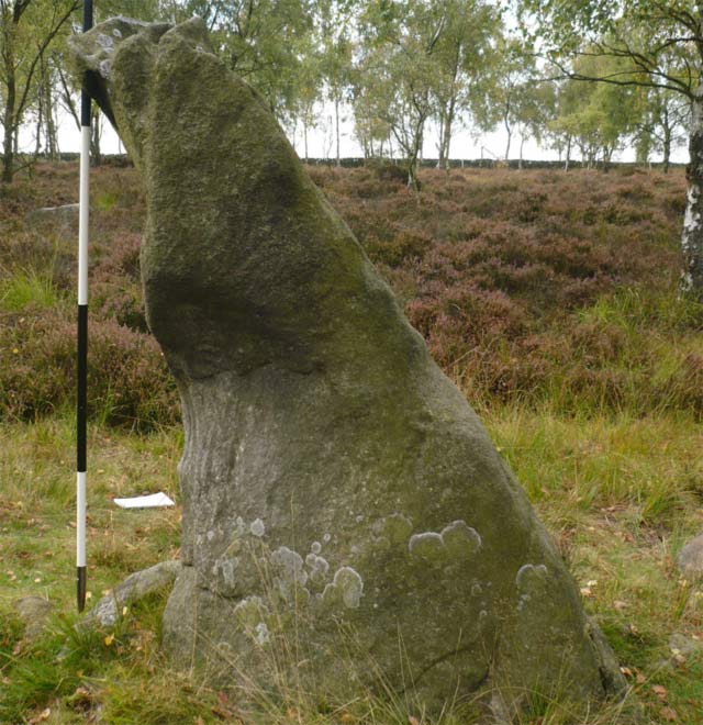 An Infant Stonehenge