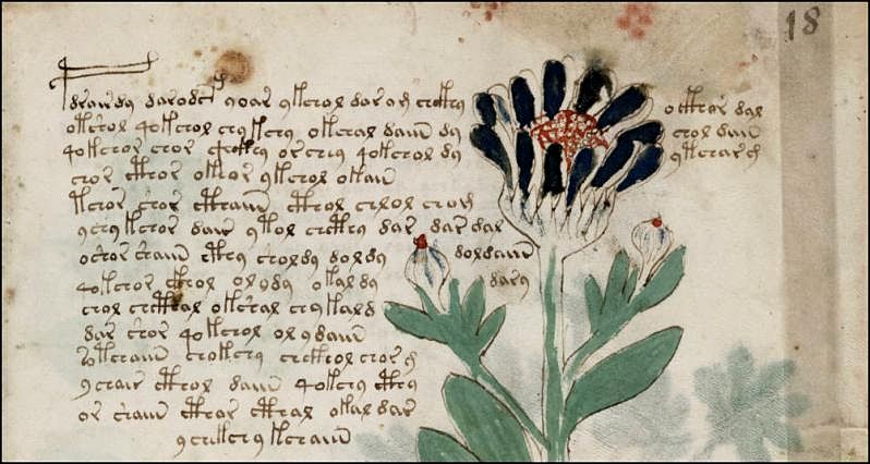New Analysis Of The Voynich Manuscript