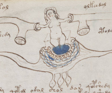 Voynich Manuscript Celebrates 100 years