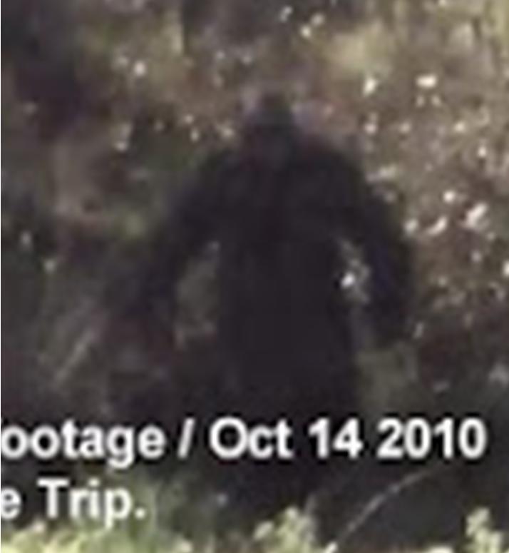 New Footage: Bigfoot Seen In Algonquin Park?