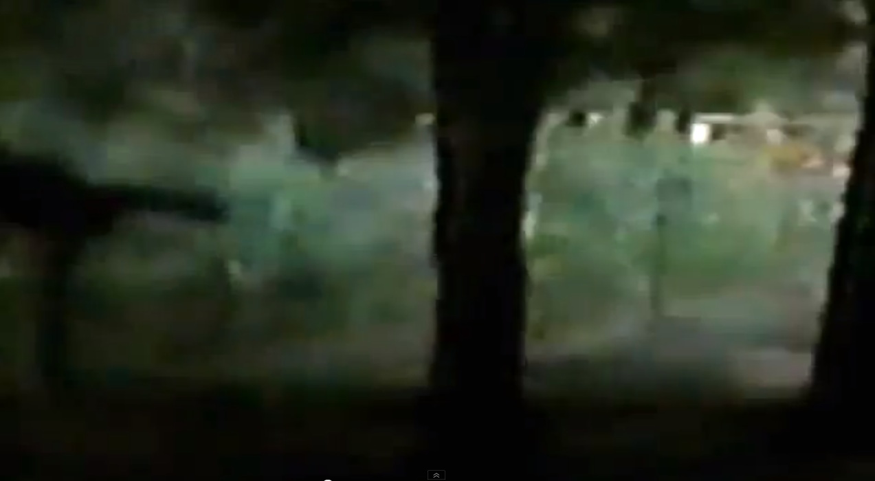 Video Shows Supposed Sasquatch Climbing Fence