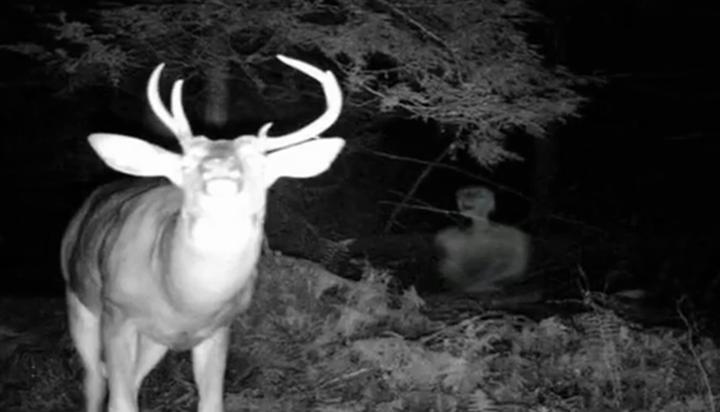 Strange Humanoid Creature Caught On Game-Cam