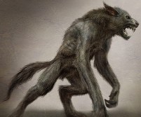 The Natural History of the European Werewolf