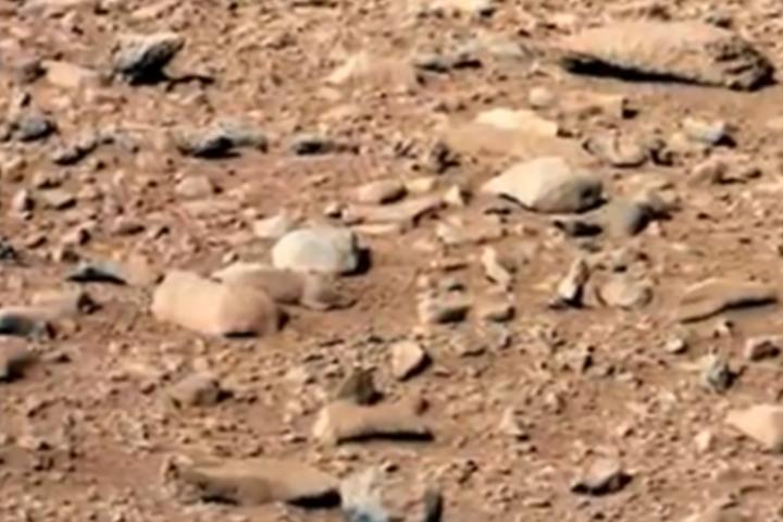 Curiosity Rover Snaps Photo Of Rodent?