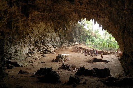 Evidence Shows That “Hobbits” Were A Separate Species
