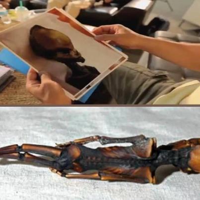 Another ‘Tiny Alien’ Body Found