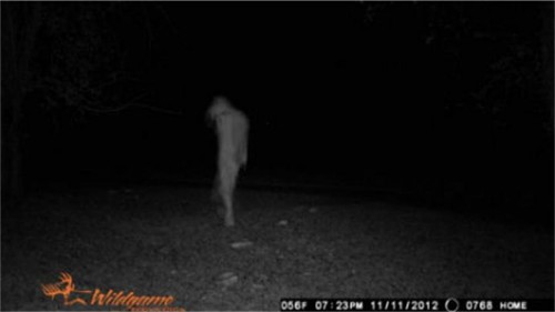 Updated Photos: Trail Cam Biped Actually Indian Spirit?