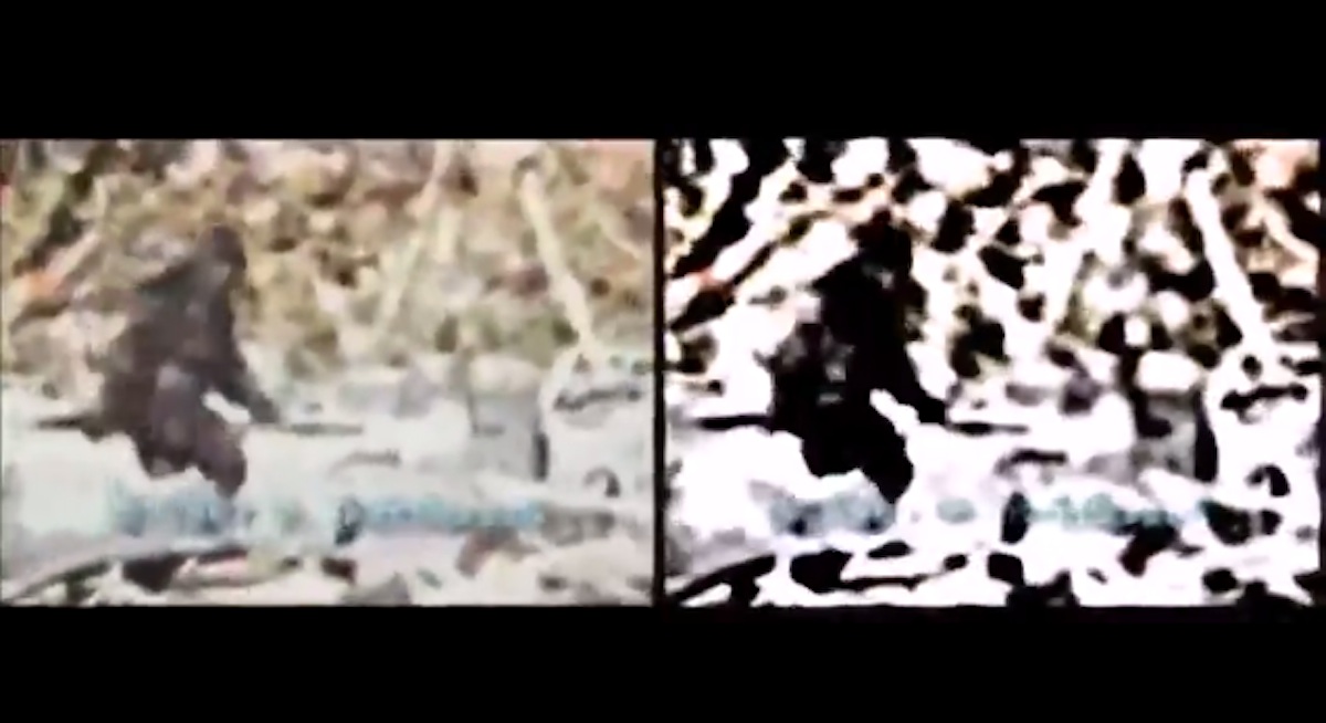 MIT’s EVM Software: Debunking Bigfoot Videos