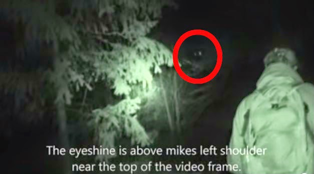 Bigfoot’s Eyes Caught On Camera?  No.
