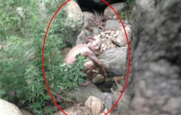 Gollum Vacations In China: UPDATED NEW PHOTO