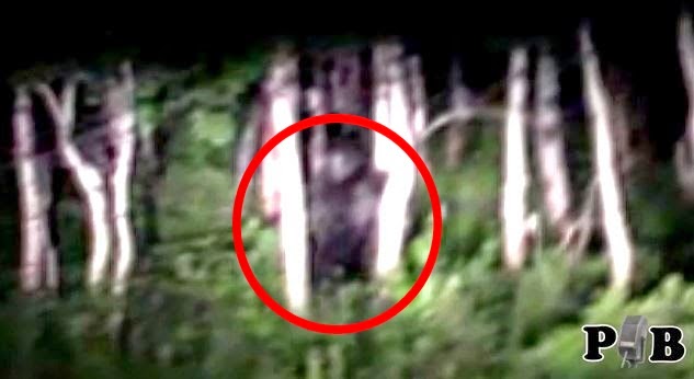 Sundance, Utah Bigfoot Footage