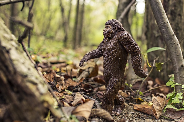 Texas Woman Tells Coast to Coast That She Lives Next To a Family of Bigfoots!