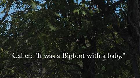 Virginia 911 Call: “It Was Bigfoot With A Baby”