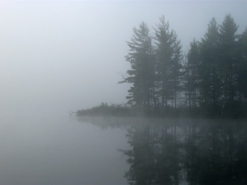 foggy_lake