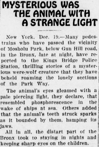 Santa Fe New Mexican. Newspaper, December 19, 1913